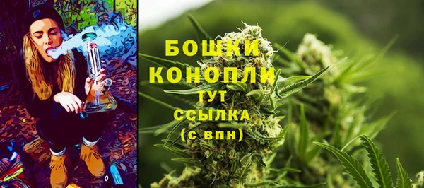ПСИЛОЦИБИНОВЫЕ ГРИБЫ Михайловск