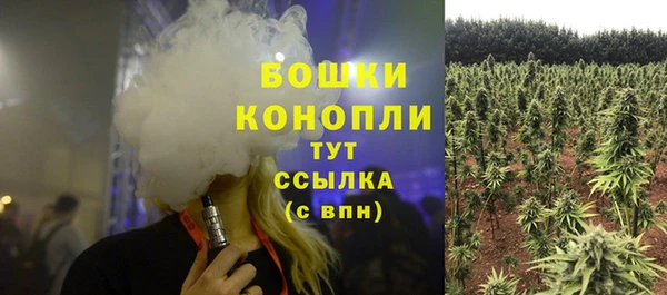 гашик Михайловка