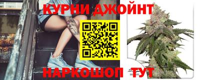 сатива Заволжье