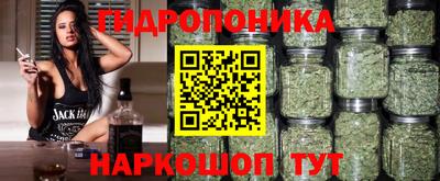 мдпв Нальчик