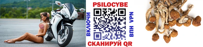 Псилоцибиновые грибы MAGIC MUSHROOMS  где найти наркотики  Карталы 
