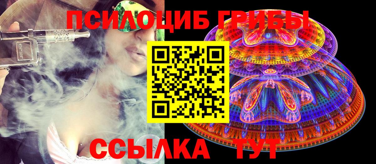 Псилоцибиновые грибы Psilocybine cubensis  Вход с VPN  Галлюциногенные грибы Psilocybe  Карталы 